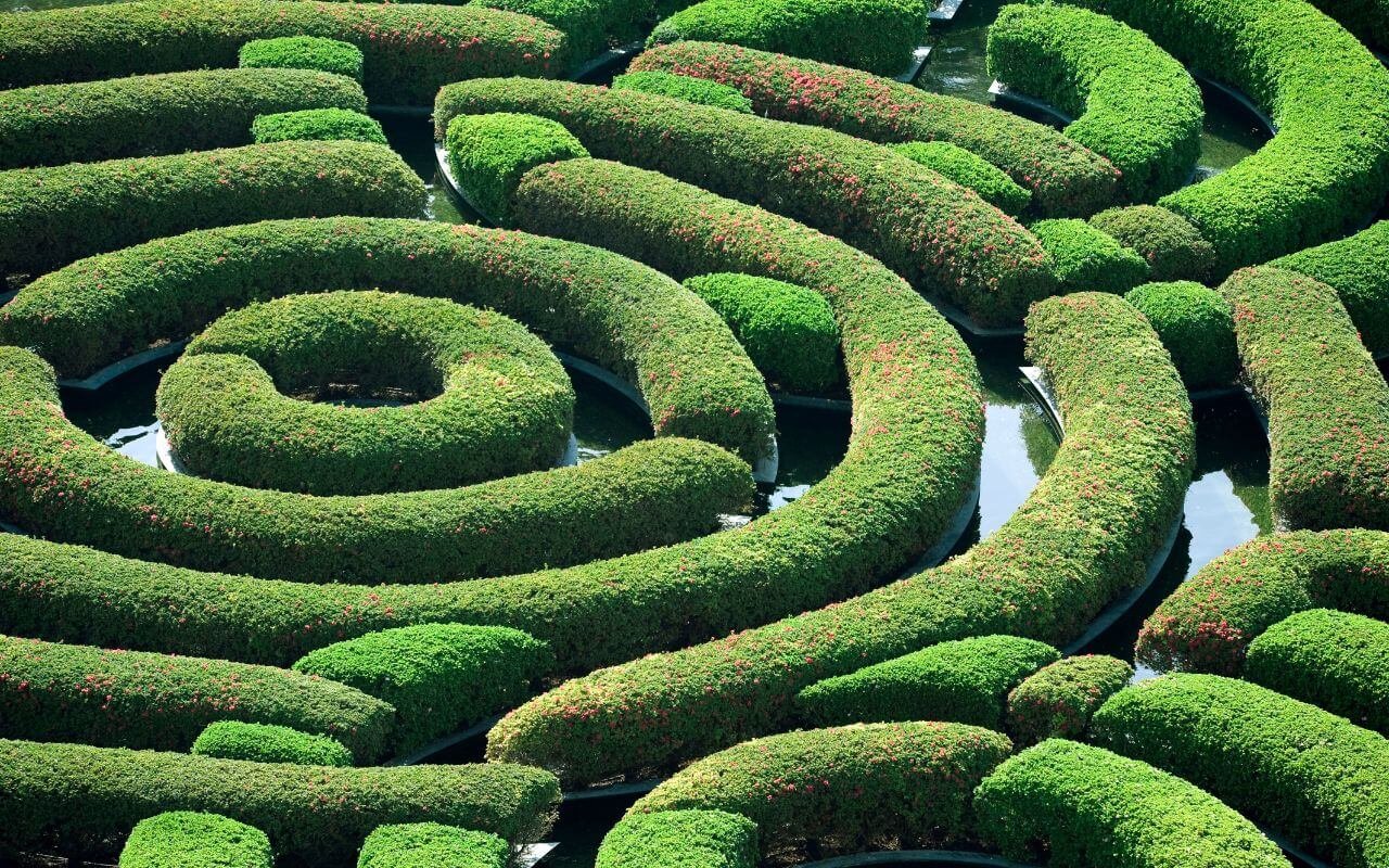 MAZE GARDEN